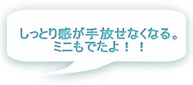 しっとり感が手放せなくなる。 ミニもでたよ！！ 