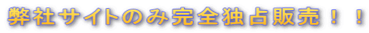 弊社サイトのみ完全独占販売！！